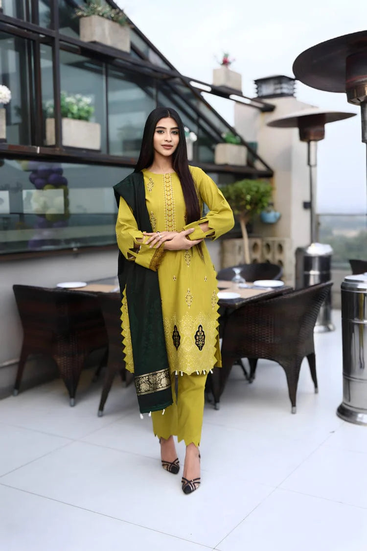 BinSIddique Luxury Khaddar Cutwork Emb 3PC-707